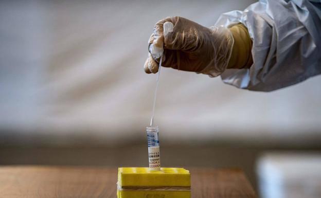 PCR o test rápido: cuándo, cómo y por qué