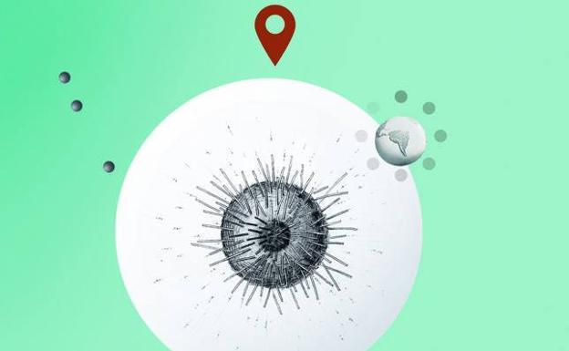 España se une a Apple y Google para usar su sistema de rastreo de contactos