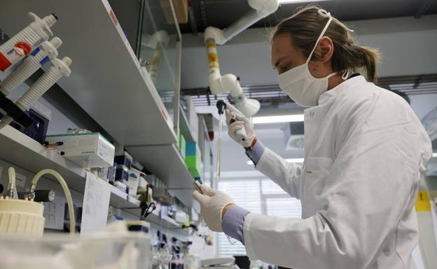 El 89% de los positivos de los últimos 14 días en la región son de la provincia de Cáceres