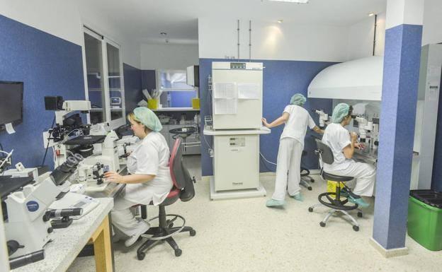 El SES hará 8.000 contratos y prolongará el de los refuerzos por la pandemia para cubrir las vacaciones de verano