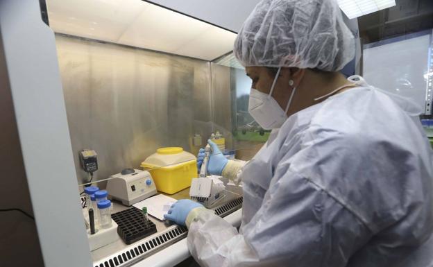 La región vuelve a superar su récord de contagios diarios, con 441 positivos