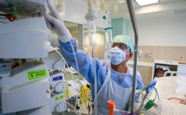 La región registra 427 positivos y seis fallecidos