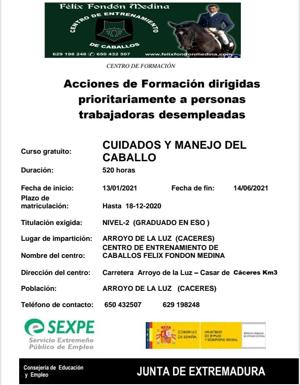 Curso de Cuidados y Manejo del Caballo