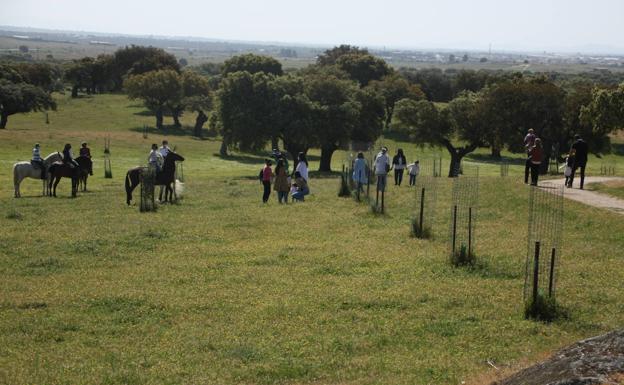 Una joven casareña cae del caballo y es trasladada en helicóptero al hospital