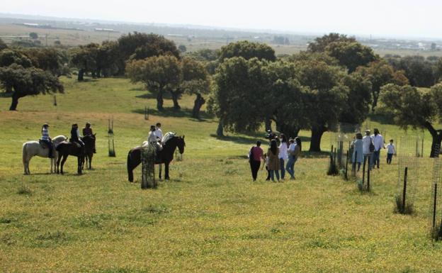 Ya se encuentra en casa la joven que ha resultado herida al caer del caballo en la Dehesa de la Luz