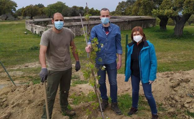 Arroyo celebra la semana del medio ambiente con plantaciones de árboles y diferentes actividades educativas