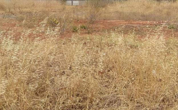 A partir de mañana comenzarán las sanciones a quienes no limpien la vegetación seca en sus terrenos