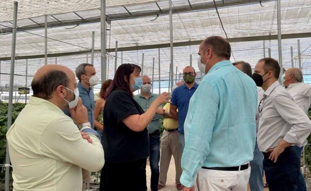 Begoña García visita las instalaciones de la empresa hortofrutícola Vefruber en Arroyo de la Luz