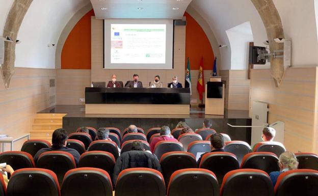 La Diputación avanza en la recogida de datos para la segunda fase del Plan de Movilidad Urbana Sostenible de la Red de Municipios Sostenibles de Cáceres