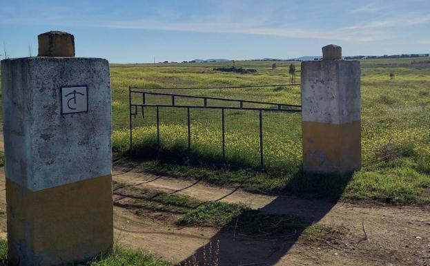 Roban material por un valor de unos 2.500 euros en una finca de Arroyo de la Luz