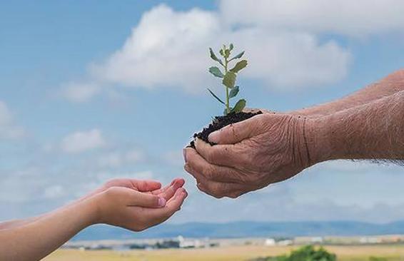 Arroyo de la Luz, un pueblo que brilla con luz propia