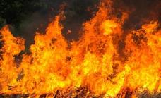 Se prohíbe la quema de restos vegetales amontonados por las condiciones climatológicas