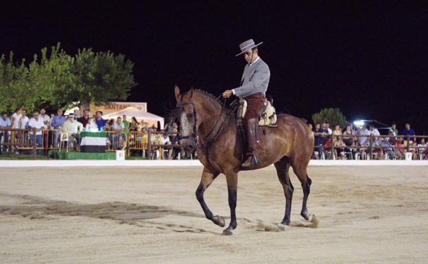 Cita en Arroyo de la Luz para los amantes del caballo