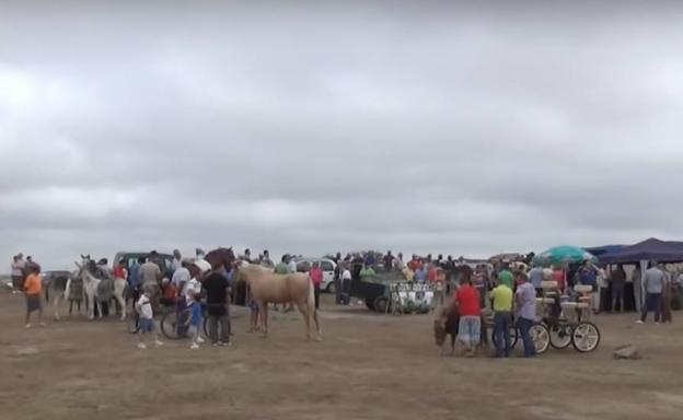 La Charca Grande acoge la V edición de la Feria de Ganado de Arroyo de la Luz