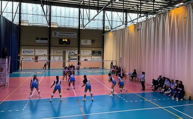 Gran comienzo de temporada de los equipos de la cantera del voleibol arroyano