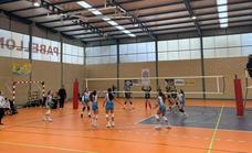 Los equipos de la cantera del club de voleibol de Arroyo de la Luz siguen cosechando éxitos