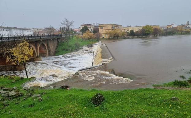 Ibercaja activa un plan de apoyo a agricultores afectados en diciembre por la borrasca Efrain en Extremadura