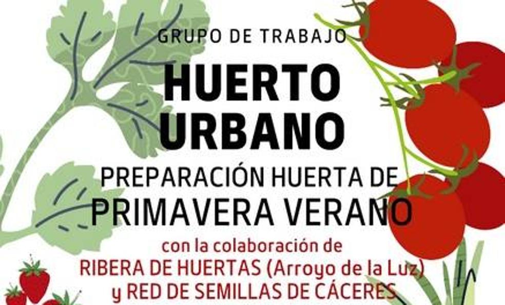 El ECJ crea un grupo de trabajo para preparar su huerto urbano
