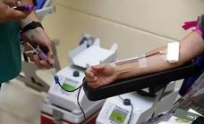 El Banco de Sangre recoge 131 bolsas en Calamonte