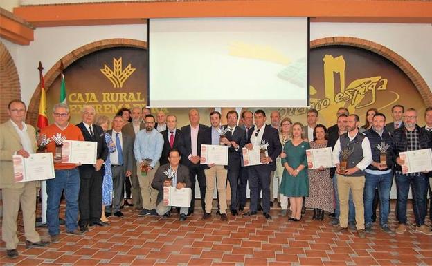 La empresa Arteserena recibe el Premio Espiga de Bronce