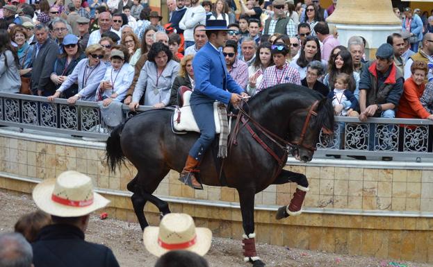 Más de 250 caballerías y gran ambiente en la ermita y en el camino