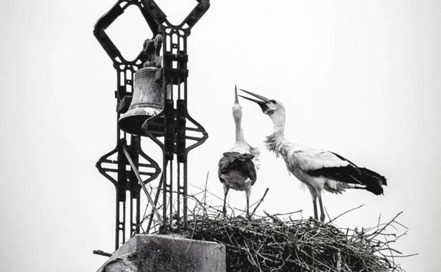 Convocada la segunda edición del concurso de fotografía 'Campanario y sus paisajes'