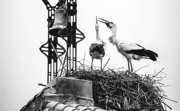 Este viernes termina el plazo para participar en el concurso de fotografía