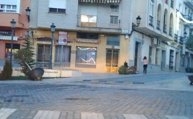 El temporal de viento tumbó varios maceteros ubicados en plazas y parques