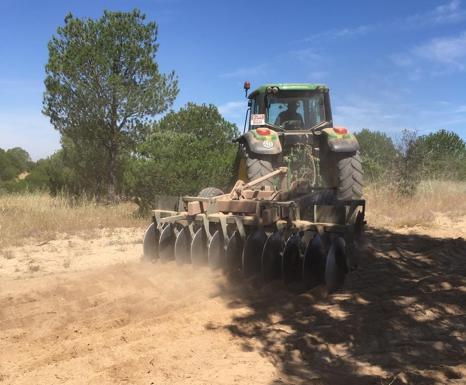 Los cortafuegos de 'El Ejido' ya están despejados para evitar incendios
