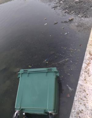 Un contenedor de la basura ha sido arrojado dentro de La Laguna