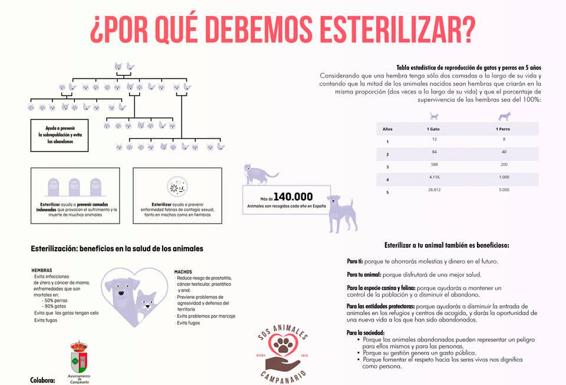 SOS Animales y el Ayuntamiento lanzan una campaña informativa sobre la esterilización de perros y gatos