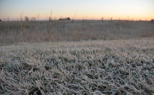Este viernes podría nevar en Campanario
