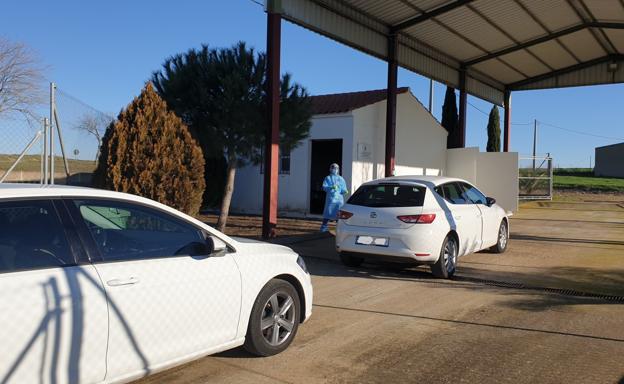 Ya se han hecho 87 test rápidos en el cribado masivo, con 8 positivos detectados