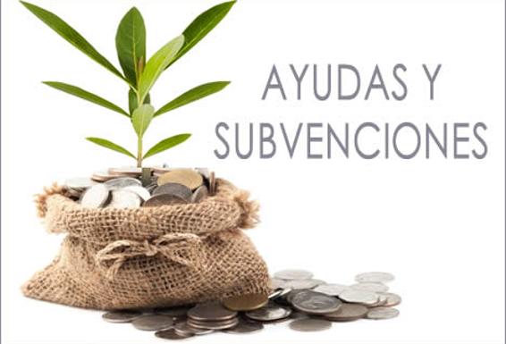 El Ayuntamiento destinará más de 342.000 euros a empleo, suministros mínimos vitales y servicio de atención residencial
