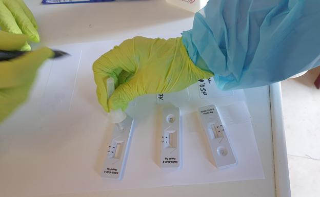 Campanario se encuentra libre de coronavirus