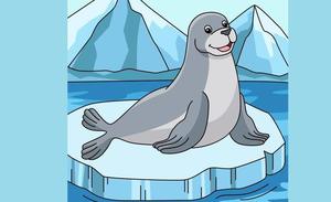 Los pequeños compartirán la ola de frío con 'La foca friolera' en 'La hora del cuento'