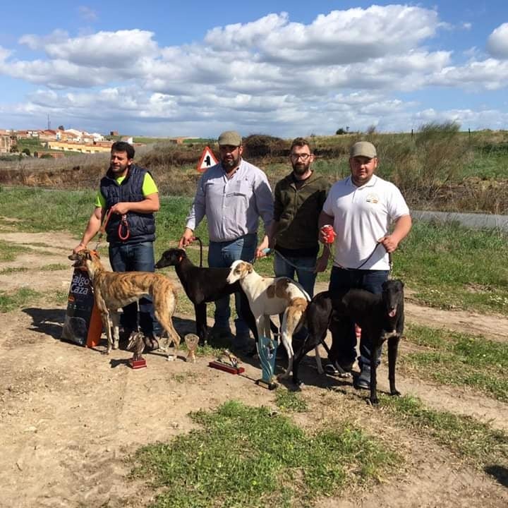 La Carrera de galgos se disputará mañana en el Circuito de La Charca
