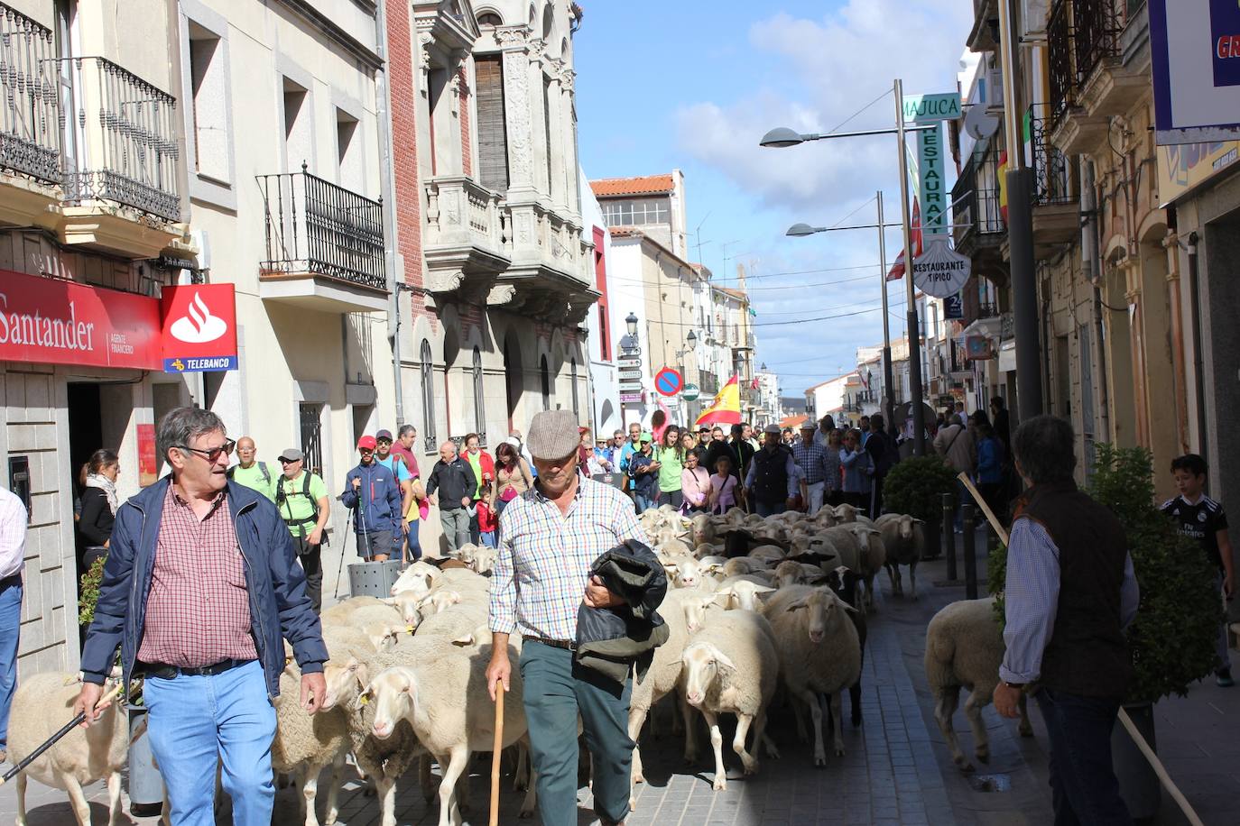 Todo listo para albergar la IV Feria Europea del Queso de Casar de Cáceres