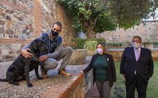 Diputación pone en marcha el programa piloto ESCAN, terapia asistida con perros adiestrados para víctimas de violencia