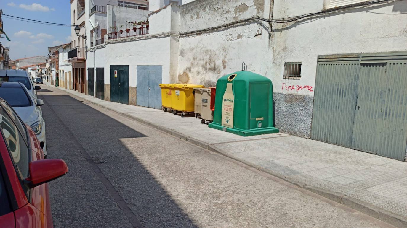 Investigan la alimentación a gatos callejeros en la calle El Cura