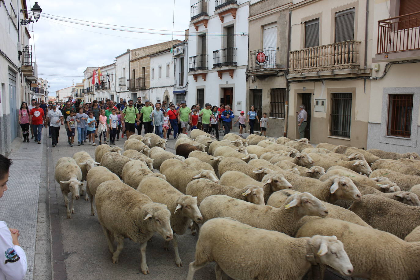 La Semana de la Torta del Casar será presencial entre el 9 y 14 de octubre