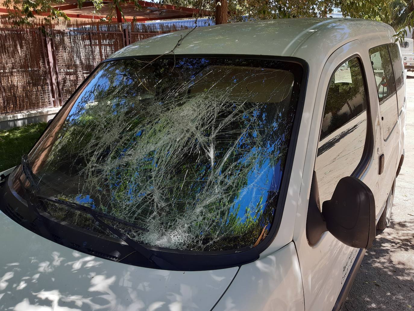 El impacto del vehículo contra el árbol provocó varios desperfectos en el mismo. /L.C.G.