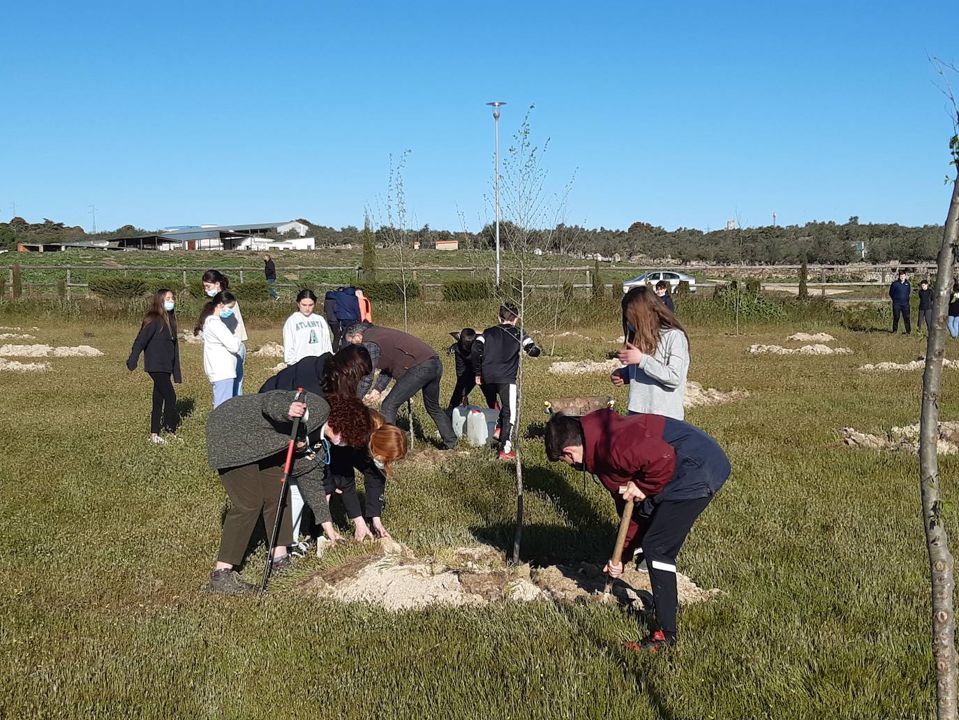 Los alumnos del IESO asisten a una jornada de reforestación en La Charca