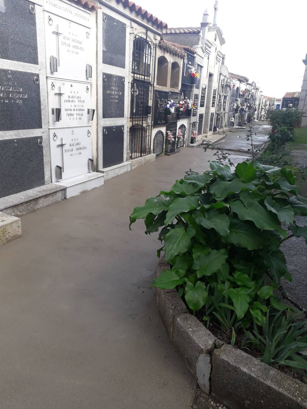 La Cofradía de Ánimas del pasado año invierte 8.600 euros en el arreglo de varias calles del cementerio