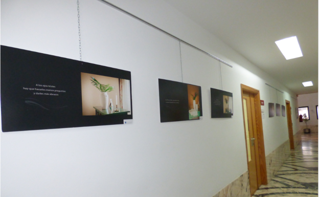 La Universidad Popular acoge la exposición 'Proyecto 25' de Pepa Gómez Bustamante