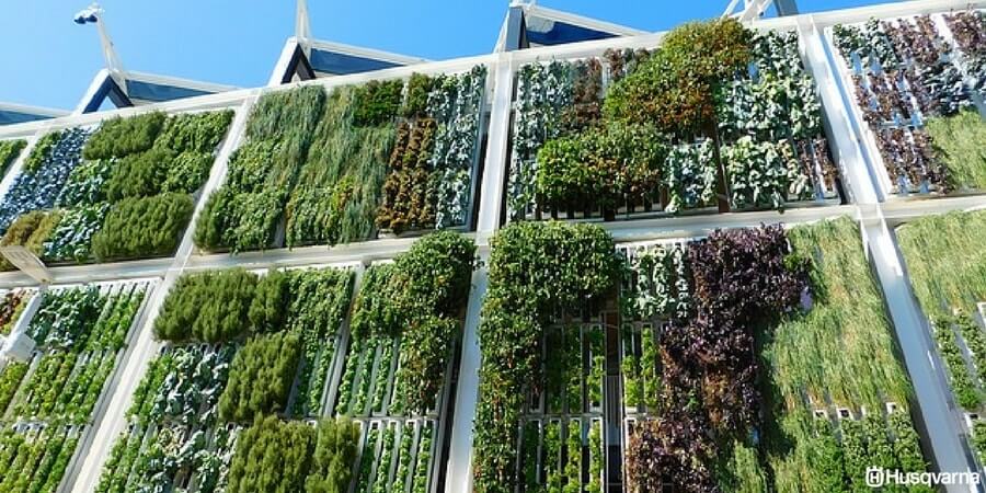 El Ayuntamiento de Castuera promueve la formación de mujeres mayores de 45 años con el programa SARA de 'jardines verticales'