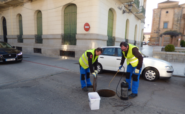 El Ayuntamiento inicia la campaña de desratización en la red del alcantarillado
