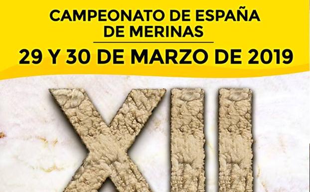 Presentado el programa del Campeonato de España de Esquileo de Merinas