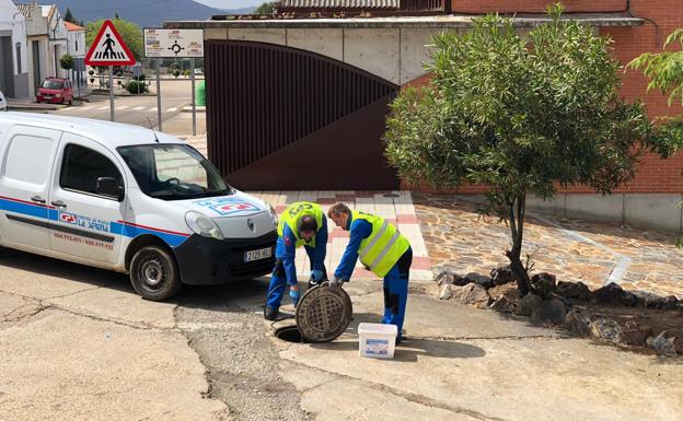 Nueva campaña de desratización, desinsectación, y desinfección en la red de alcantarillado de la localidad