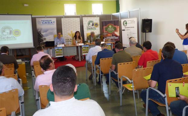 Corderex analiza la nueva PAC orientada al sector ovino en las jornadas técnicas celebradas en Castuera